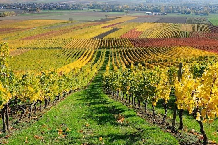 Cascina Manu Panzió Rosignano Monferrato Kültér fotó