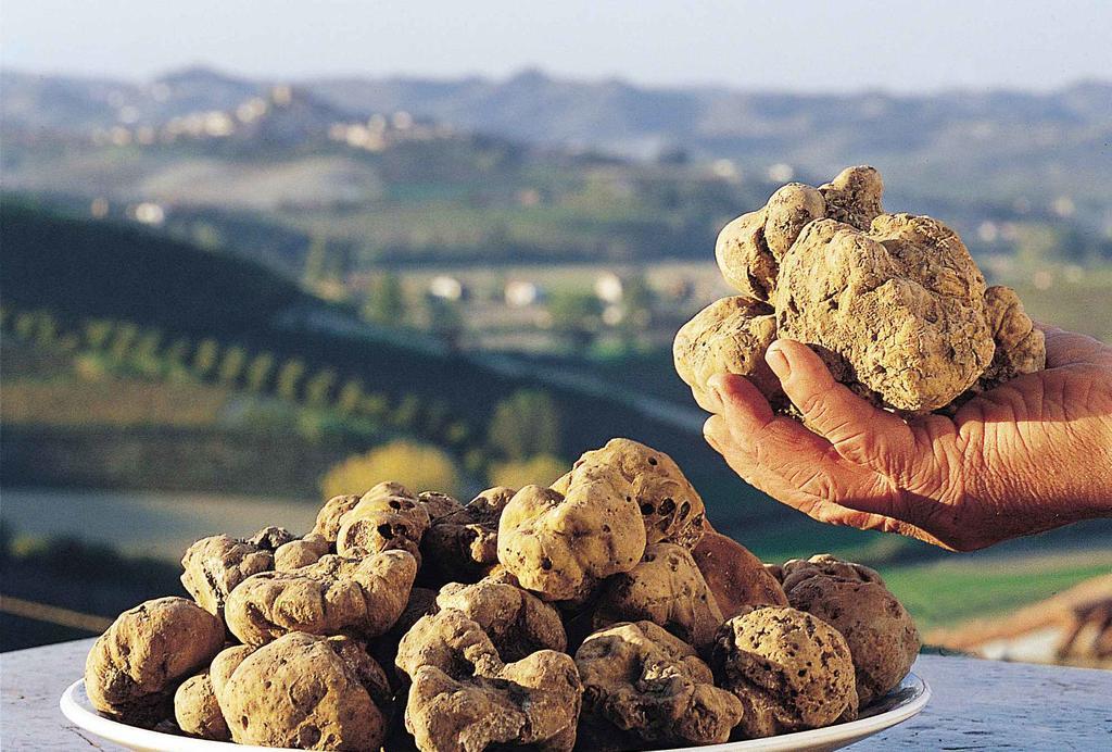 Cascina Manu Panzió Rosignano Monferrato Kültér fotó