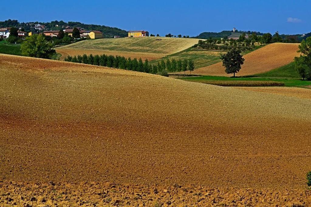 Cascina Manu Panzió Rosignano Monferrato Kültér fotó