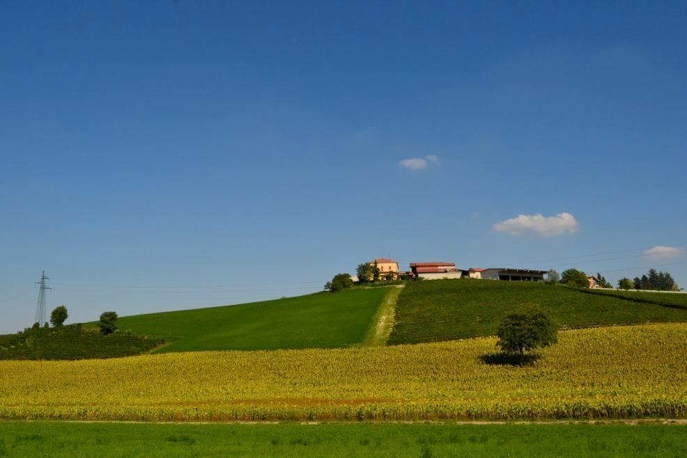 Cascina Manu Panzió Rosignano Monferrato Kültér fotó