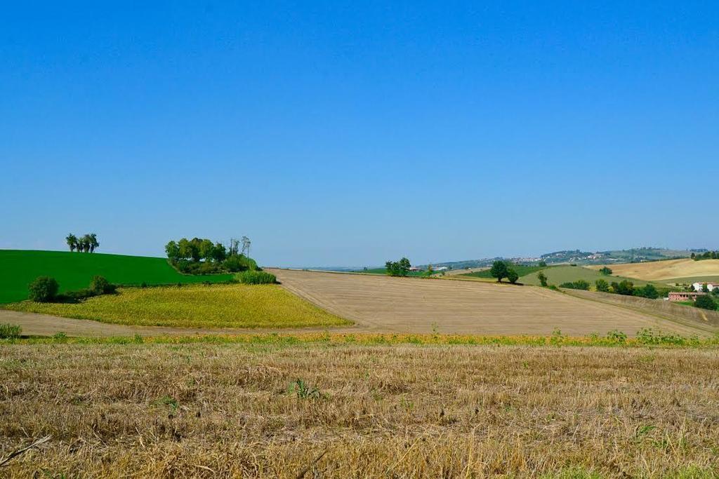 Cascina Manu Panzió Rosignano Monferrato Kültér fotó