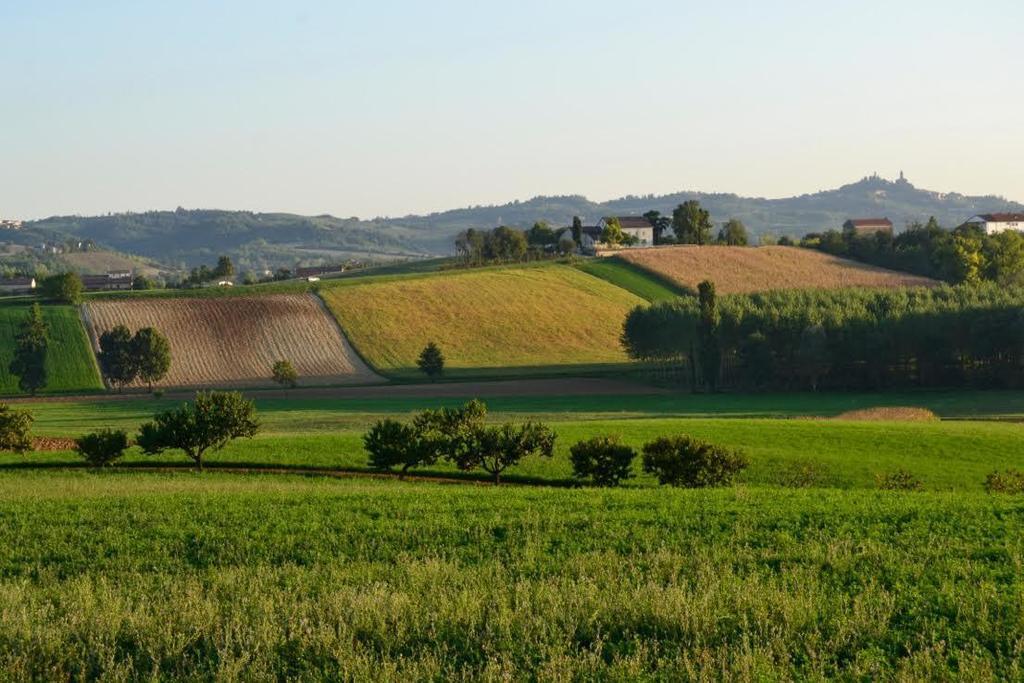 Cascina Manu Panzió Rosignano Monferrato Kültér fotó